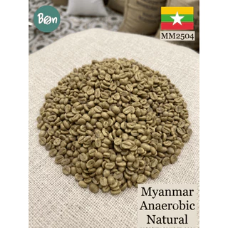 สารกาแฟ/เมล็ดกาแฟดิบ/Green bean(MM2504) ประเทศพม่า/เมียนมา Myanmar Anaerobic Natural - 1Kg. Bean Importer