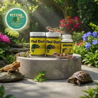 🦎ล๊อตใหม่ที่สุดVital Dust Bee และ ReviveR แคลเซียมและวิตามินสัตว์เลื้อยคลาน เต่าบก ตุ๊กแก กิ้งก่า🐢