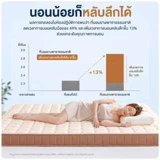 ที่นอนยางพาราแท้ 100% หนา 3.5 นิ้ว แก้ปวดหลัง พับเก็บได้ นำเข้าจากประเทศเบลเยี่ยม ส่งฟรี
