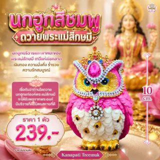 นกฮูกสีชมพูถวายพระแม่ลักษมี 🕉 🦉บริวารและพาหนะของพระแม่ลักษมี เทวีแห่งโชคลาภ เงินทอง ความมั่งคั่งร่ำรวย ความรักสมบูรณ์💰