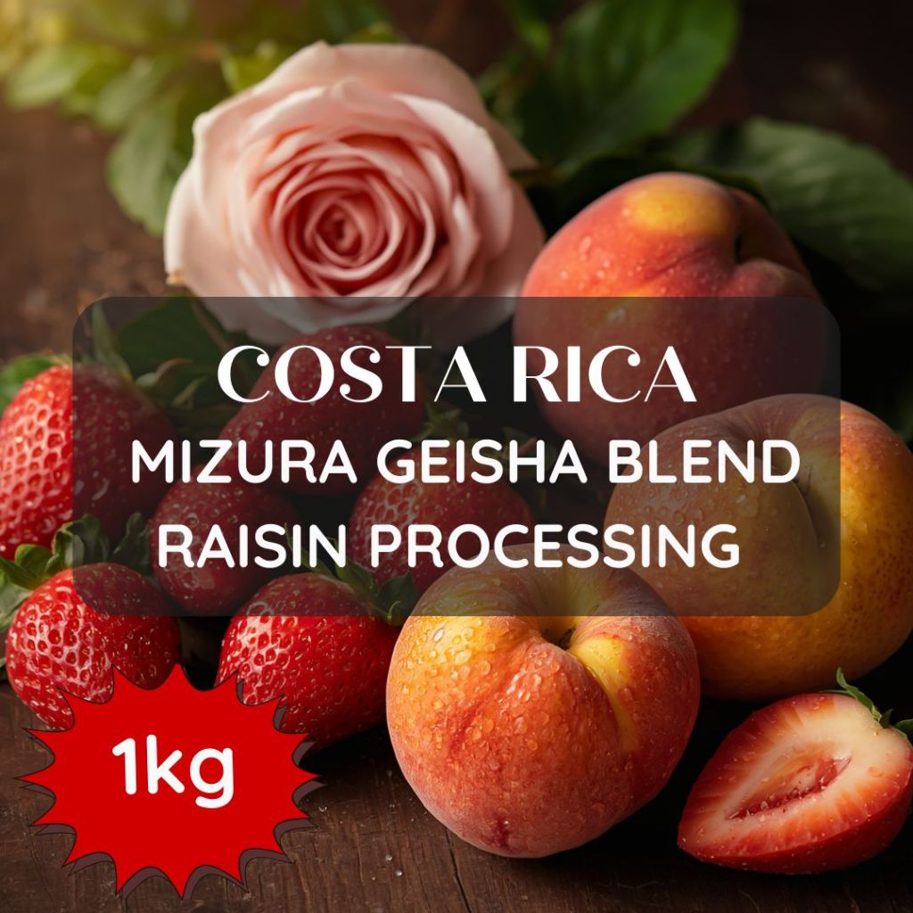 สารเมล็ดกาแฟ Costa Rica Mizura Geisha Blend Raisin Processing ขนาด 1000g