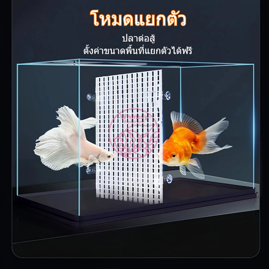 ตะแกรงแฟรก ตะแกรงกั้นตู้ปลา กันปลากระโดด แบ่งช่องตู้ปลา ตัวยึดอะคริลิคฝาตู้ thumbnail 7