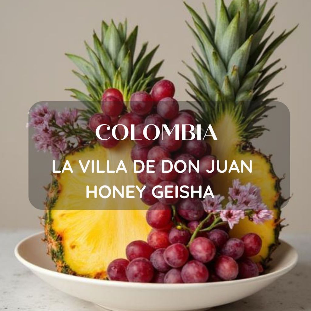สารเมล็ดกาแฟ Colombia La Villa De Don Juan Honey Geisha