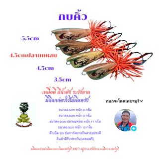กบคิ้ว ขนาด3.5cm,4.5cm,5.5cm กบกระโดดเพชรบุรี