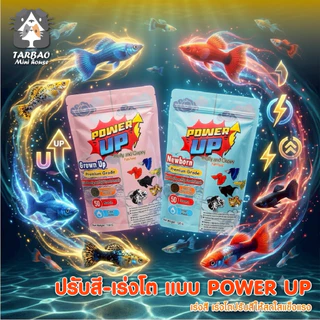 (พร้อมส่ง) อาหารปลา PowerUp สำหรับปลาบอลลูน ปลาหางนกยูง ปลากัด ขับลม สารอาหาร แร่ธาตุครบ จบในซอง