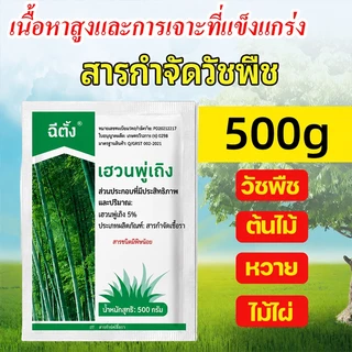 💥100% รากไม้เน่า ยาฆ่าต้นไม้ใหญ สารกำจัดกอไผ่ ยาฆ่าตอไม้ ตรงไปที่ราก สร้างมาเพื่อฤดูฝน กำจัดวัชพืชรากเน่า