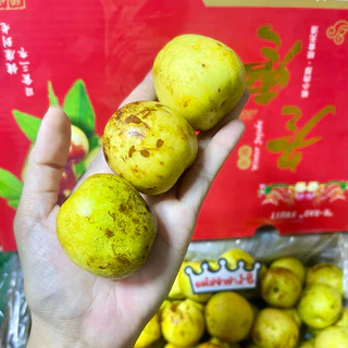 #พุทราช็อคโกแลต(ไซส์คิง) ลูกใหญ่ เกรดพรีเมี่ยม