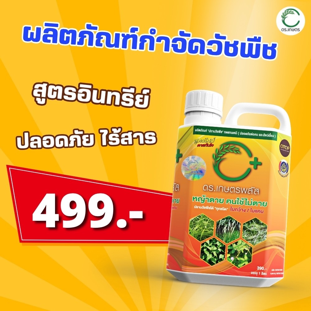 ซื้อ 1 แกลลอน ผลิตภัณฑ์กำจัดวัชพืชสินค้า ของแท้ต้องราคานี้เท่านั้น