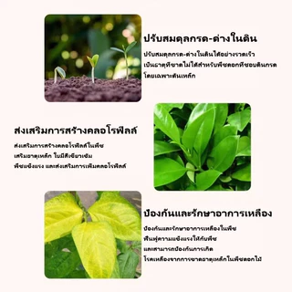 【GreenThumb】ปุ๋ย เหล็กซัลเฟต เฟอรัสซัลเฟต 250g ป้องกันโรคเหลือง ปรับสมดุลความเป็นกรดของดิน เพิ่มปริมาณธาตุเหล็กในพืช
