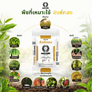 ปุ๋ยอินทรีย์สิงห์ทอง ตราแสนราชสีห์ ขนาด 1 กิโลกรัม สำหรับฟื้นฟูดิน บำรุงราก ช่วยให้พืชเติบโตได้ดี