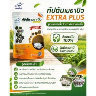 กัปตันเมธาบิว สูตรเข้มข้นเชื้อ 2 เท่า อัพอาหารเชื้อ บิวเวอร์เรีย+เมธาไรเซียม แบบผง(500กรัม)