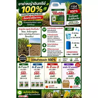 ซุปเปอร์ เวอร์ด้า ยาฆ่าหญ้าอินทรีย์ 100% ซื้อ 1 แถม 1 สูตรเข้มข้น กำจัดหญ้าได้รวดเร็ว ฉีดครั้งเดียวจบ ไม่มีกลิ่นฉุน