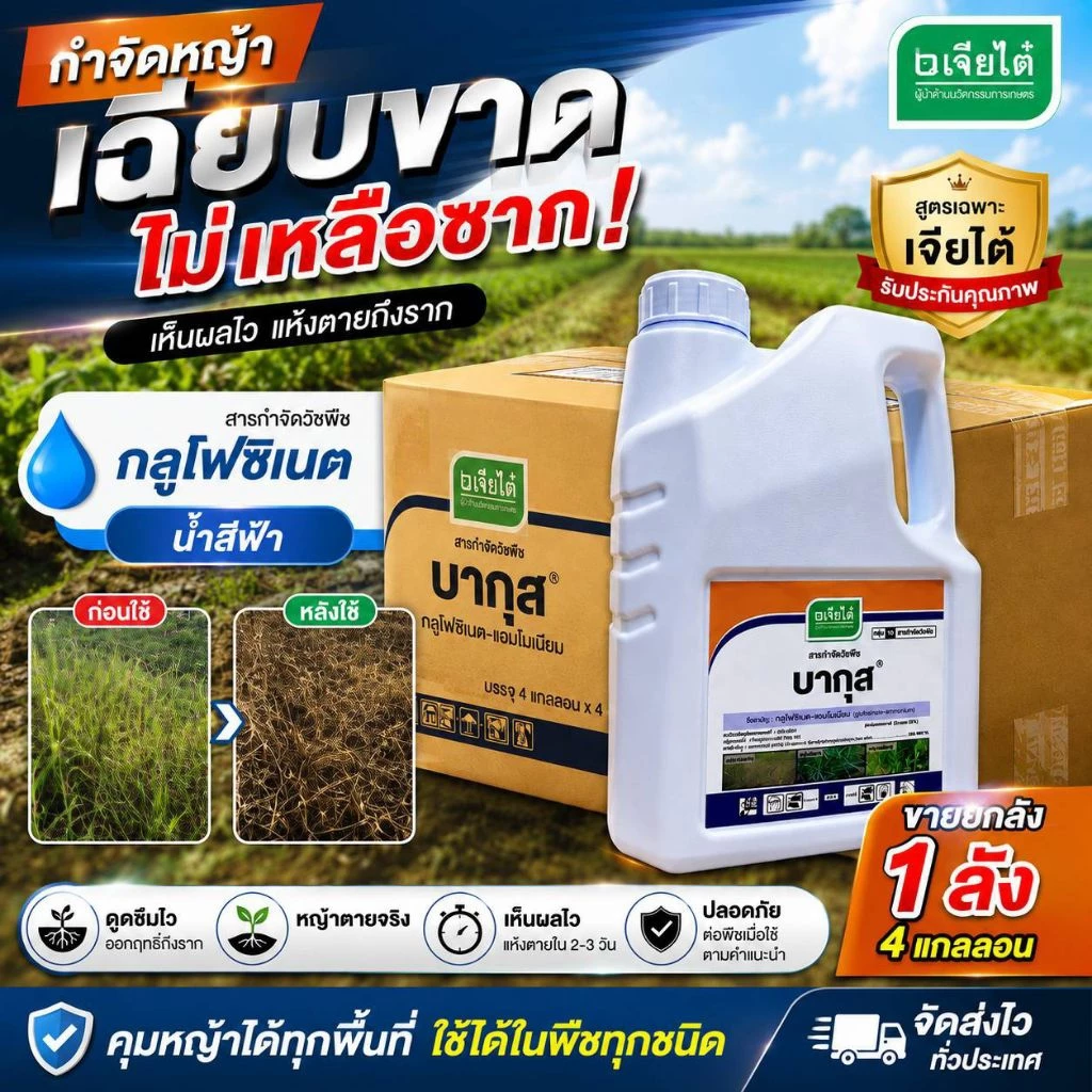 (ยกลัง) บากุส 4ลิตรX4กล.กลูโฟซิเนต น้ำสีฟ้าสูตรเฉพาะเจียไต๋ รับประกันคุณภาพกำจัดหญ้าเฉียบขาด เห็นผลไว แห้งตายถึงราก
