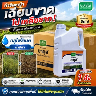 (ยกลัง) บากุส 4ลิตรX4กล.กลูโฟซิเนต น้ำสีฟ้าสูตรเฉพาะเจียไต๋ รับประกันคุณภาพกำจัดหญ้าเฉียบขาด เห็นผลไว แห้งตายถึงราก
