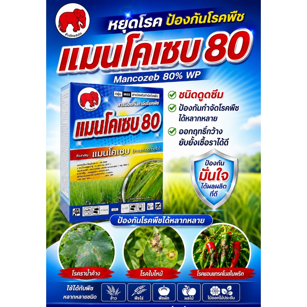 แมนโคเซบ ขนาด 1กก. ป้องกันและกำจัดเชื้อรา ชนิดต่างๆกว่า 400 ชนิด