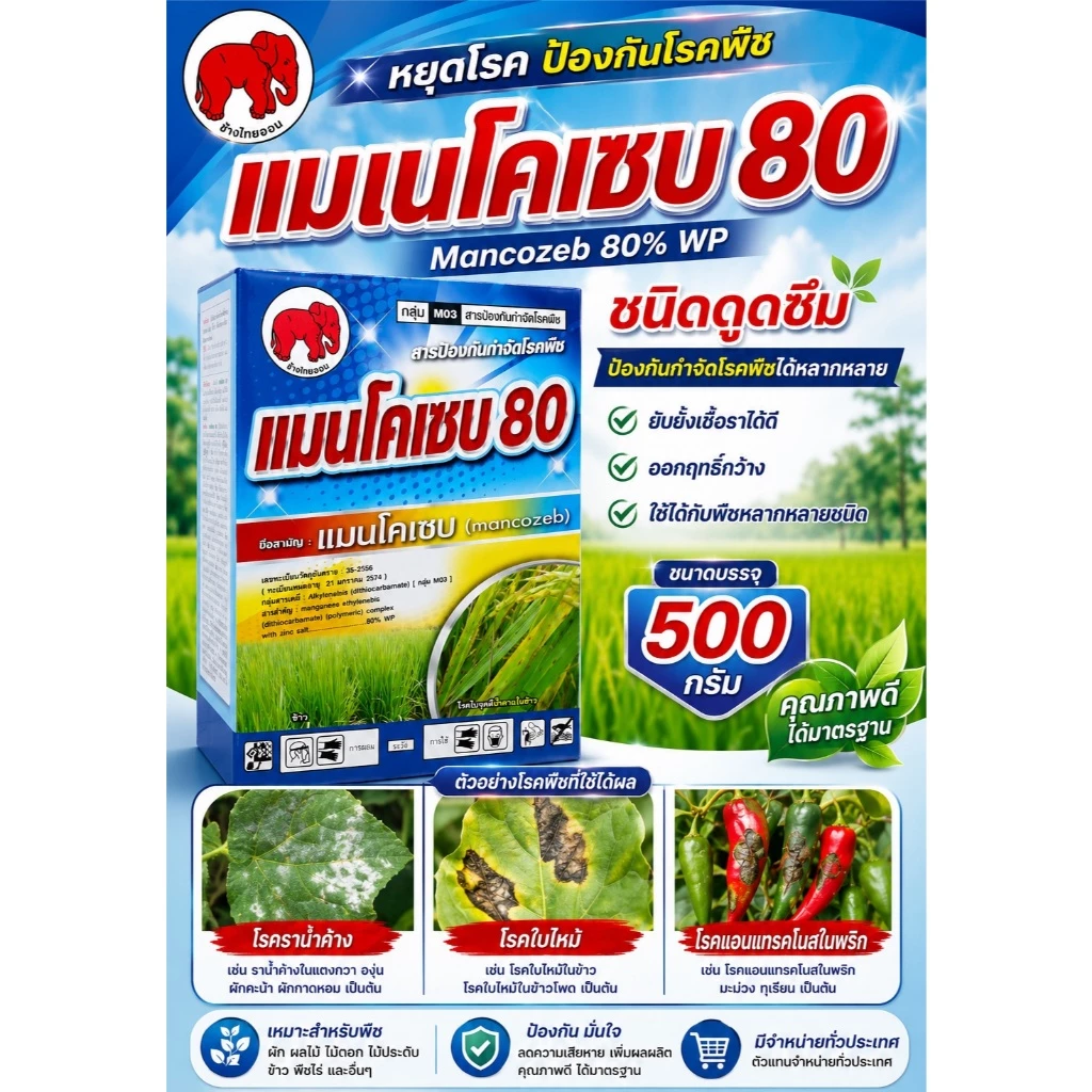 แมนโคเซบ 80 ขนาด 500g ป้องกันและกำจัดเชื้อรา ชนิดต่างๆกว่า 400 ชนิด