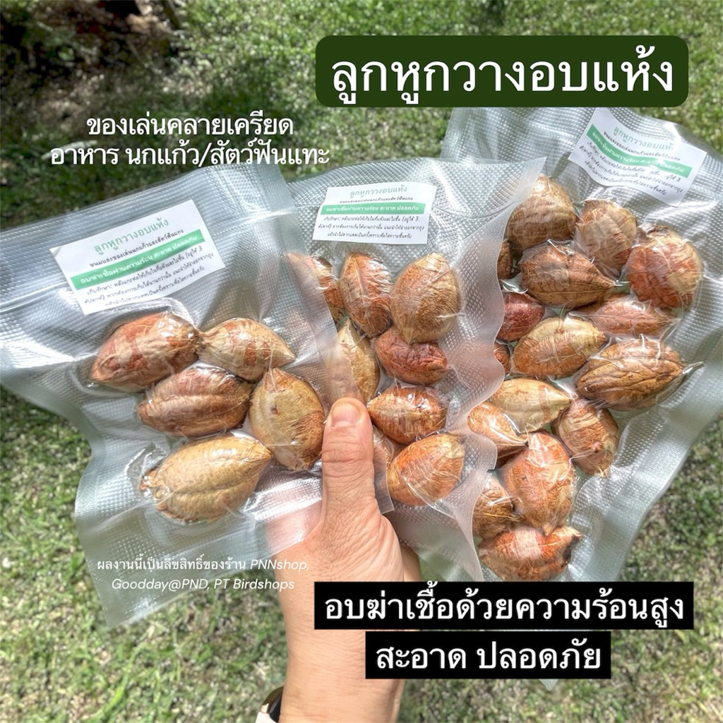 ลูกหูกวางแห้งอบฆ่าเชื้อ ของเล่นคลายเครียดให้กับนกแก้วและสัตว์ฟันแทะ และอาหารสำหรับนกแก้ว สะอาด ใหม่ ประโยชน์สูง