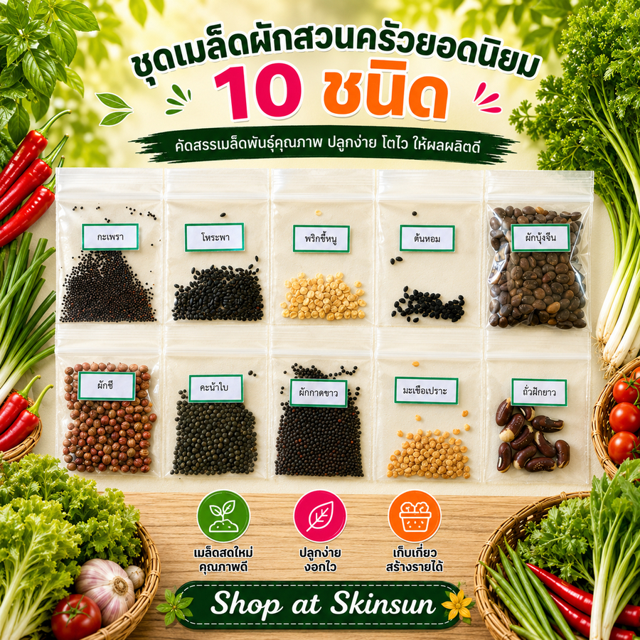 ชุดเมล็ดผักสวนครัวยอดนิยม 10 ชนิด มาปลูกผักไว้กินกันในครัวเรือน