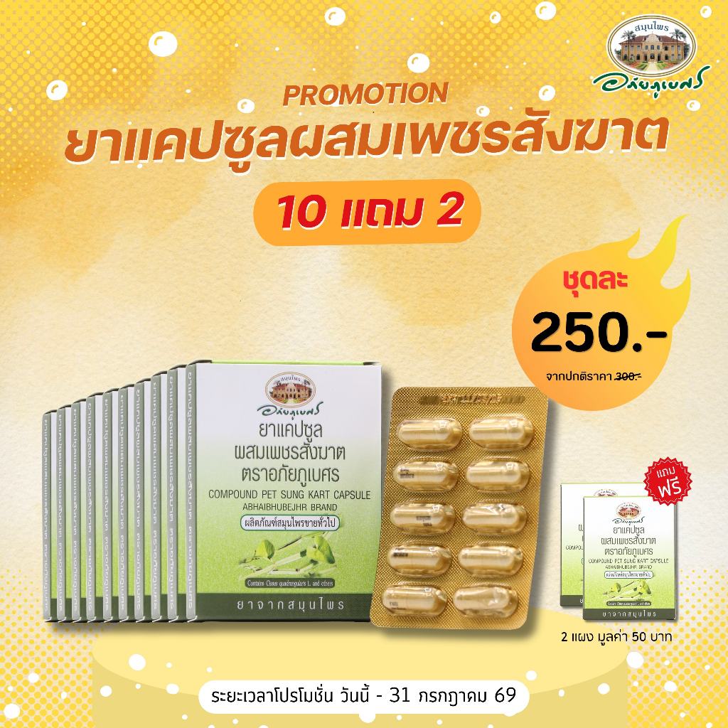 ยาแคปซูลผสมเพชรสังฆาต 10 แคปซูล (แผง) 10 แผง แถมฟรี 2 แผง