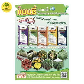 ปุ๋ยเกล็ดออคิเดนซ์ระบบน้ำ 15-6-35 B สูตรบำรุงผลผลิต ตราแนนซี่ ขนาด 25 กิโลกรัม
