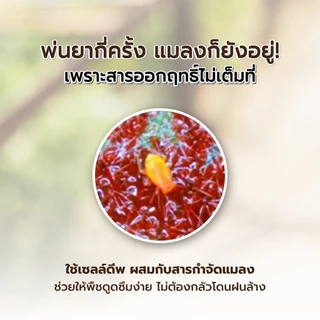 Pack 1 X 500 CC พฤกษ์มณี เซลล์ดีพ สารซึมเซลล์ แบบขวด เหมาะกับพืชทุกชนิด ใช้ร่วมกับ ปุ๋ย สารเสริมพืช สารกำจัดแมลง