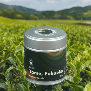 SOFUTO CREAM | ผงมัทฉะญี่ปุ่นแท้ เกรดพรีเมียม ซาซังกะมัทฉะ จากเมืองยาเมะ (Sazanka - Yame Fukuoka)
