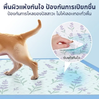 【CAT&DOG】แผ่นรองฉี่กลิ่นลาเวนเดอร์ แผ่นรองฉี่สำหรับสุนัข แผ่นซับน้ำสำหรับสัตว์เลี้ยง วัสดุซับน้ำคุณภาพสูง 5 ชั้น