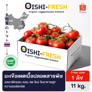 🚨ส่งด่วน🥢ร้านอาหาร🍅มะเขือเทศเนื้อ ปลอดสารพิษ 10 กก. ผักร้านอาหาร ผักยกลัง ผักราคาส่ง ผักชาบู ผักโรงแรม ส่ง 24 ชม.