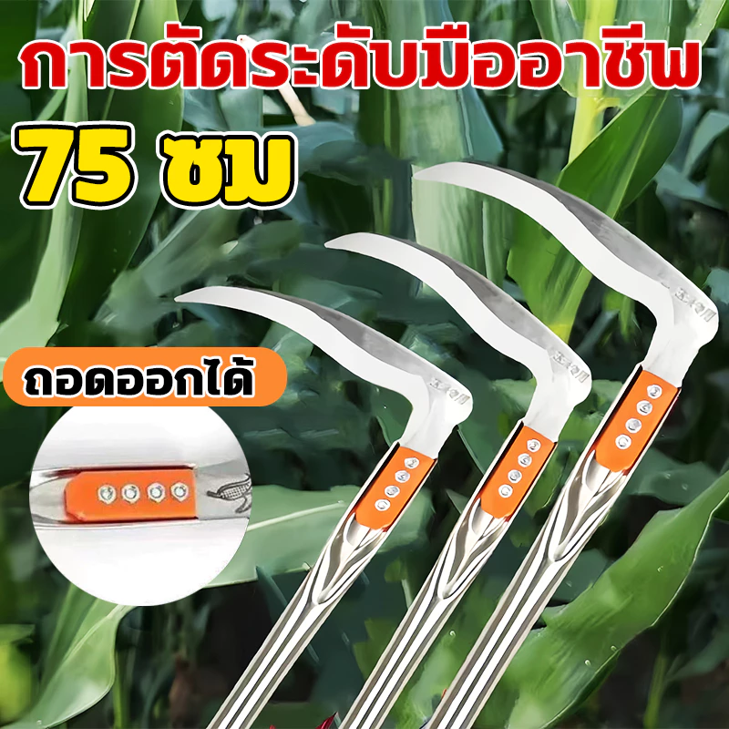 เคียวเหล็กแมงกานีส 75cm เคียวการเกษตร มีดดายหญ้า เคียวแมงกานีส เคียว คมและทนทาน ที่จับกันลื่น คียวตัดกิ่งไม้ คุณภาพดี
