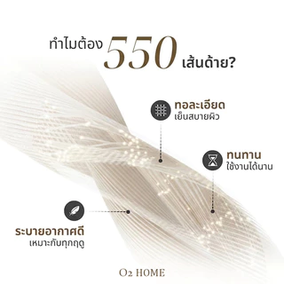 ชุดผ้าปูที่นอน 3-in-1 (ผ้าปูรัดมุม 1 ผืน+ปลอกหมอน 2 ใบ) เนื้อนุ่ม ระบายอากาศได้ดี ความหนา 10 นิ้ว 100% ผ้าฝ้าย 5/6ฟุต