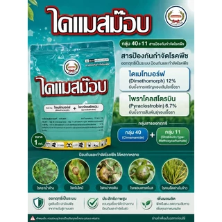ไดแมสม๊อบ 1 กิโลกรัม ไดเมโทมอร์ฟ 12% + ไพราโคลสโตรบิน 6.7% WG รักษาโรคฟิวซาเรียมในทุเรียน ตราหวีทอง