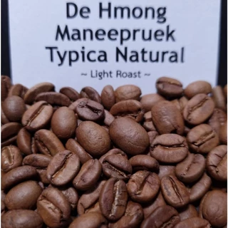 De Hmong Maneepruek Typica Natural เมล็ดกาแฟคั่วอ่อนเดอม้งมณีพฤกษ์ทิปปิก้า
