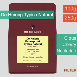 De Hmong Maneepruek Typica Natural เมล็ดกาแฟคั่วอ่อนเดอม้งมณีพฤกษ์ทิปปิก้า