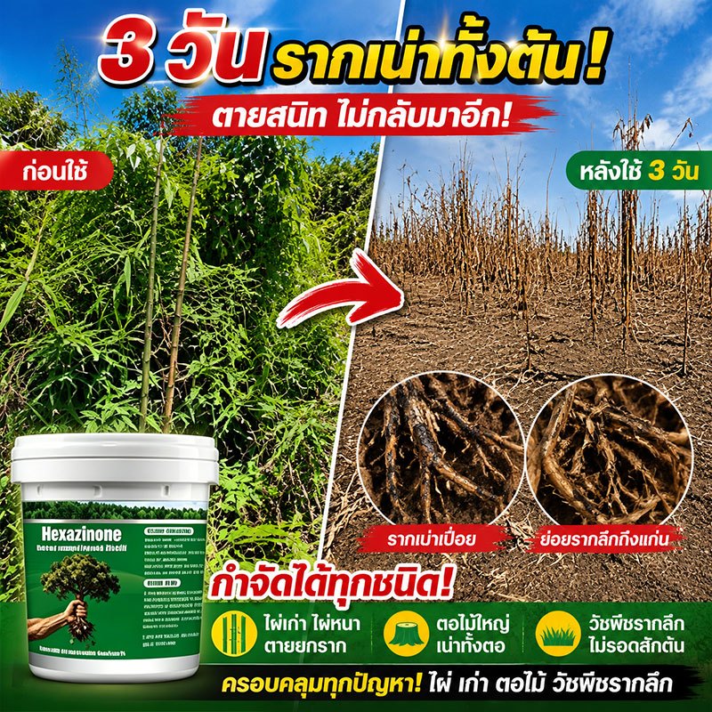 🌲ยาฆ่าตอไม้ใหญ่เข้มข้นสุด ยาฆ่าหญ้า ผงฆ่าหญ้า 500g ตรงทำลายราก กำจัดกอไผ่ หญ้าดื้อ ที่ดินรกร้างเปิดที่ทำงานได้เลย