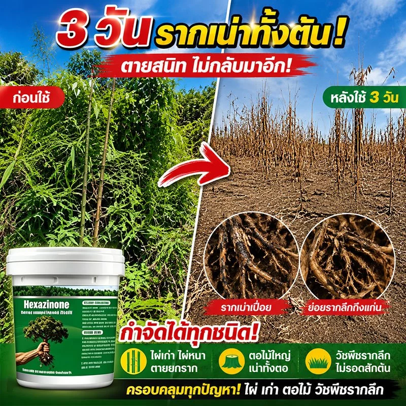 🌲ยาฆ่าตอไม้ใหญ่เข้มข้นสุด ยาฆ่าหญ้า ผงฆ่าหญ้า 500g ตรงทำลายราก กำจัดกอไผ่ หญ้าดื้อ ที่ดินรกร้างเปิดที่ทำงานได้เลย