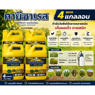 คายีซาเรส ขนาด 4 ลิตร 4 แกลลอน ตราหวีทอง