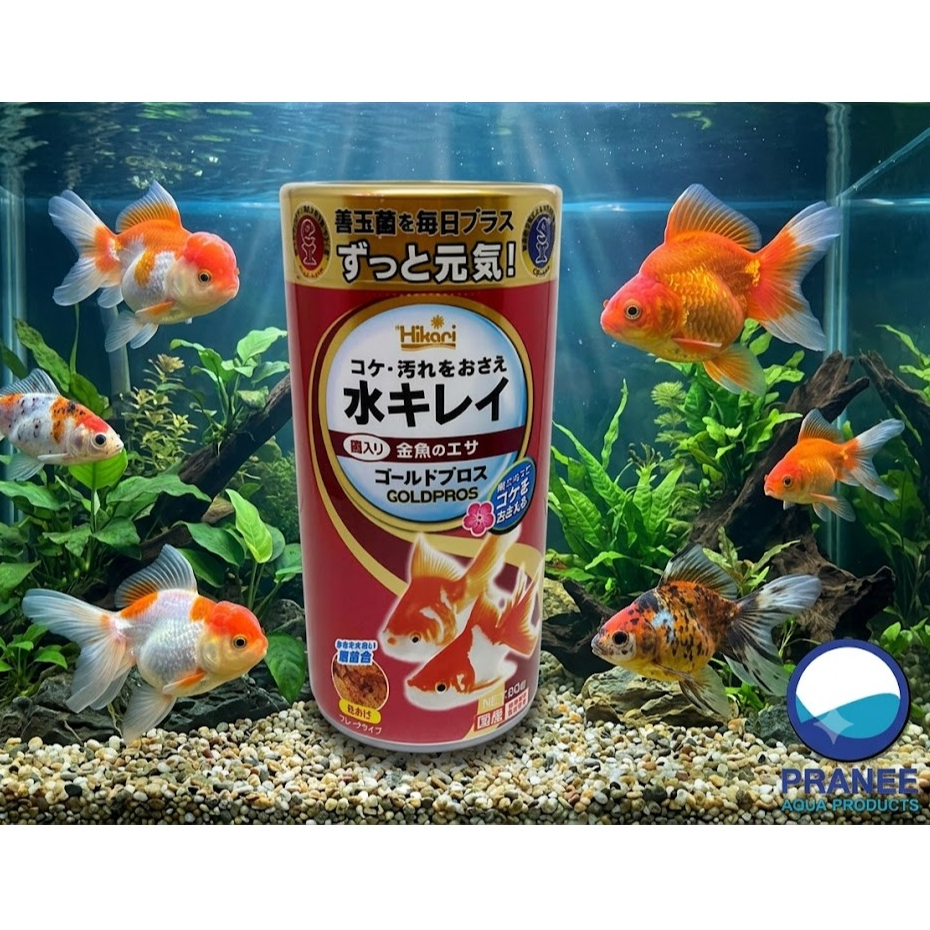 Hikari Gold Pros อาหารปลาทอง 50 g. สูตรดอกบ๊วย