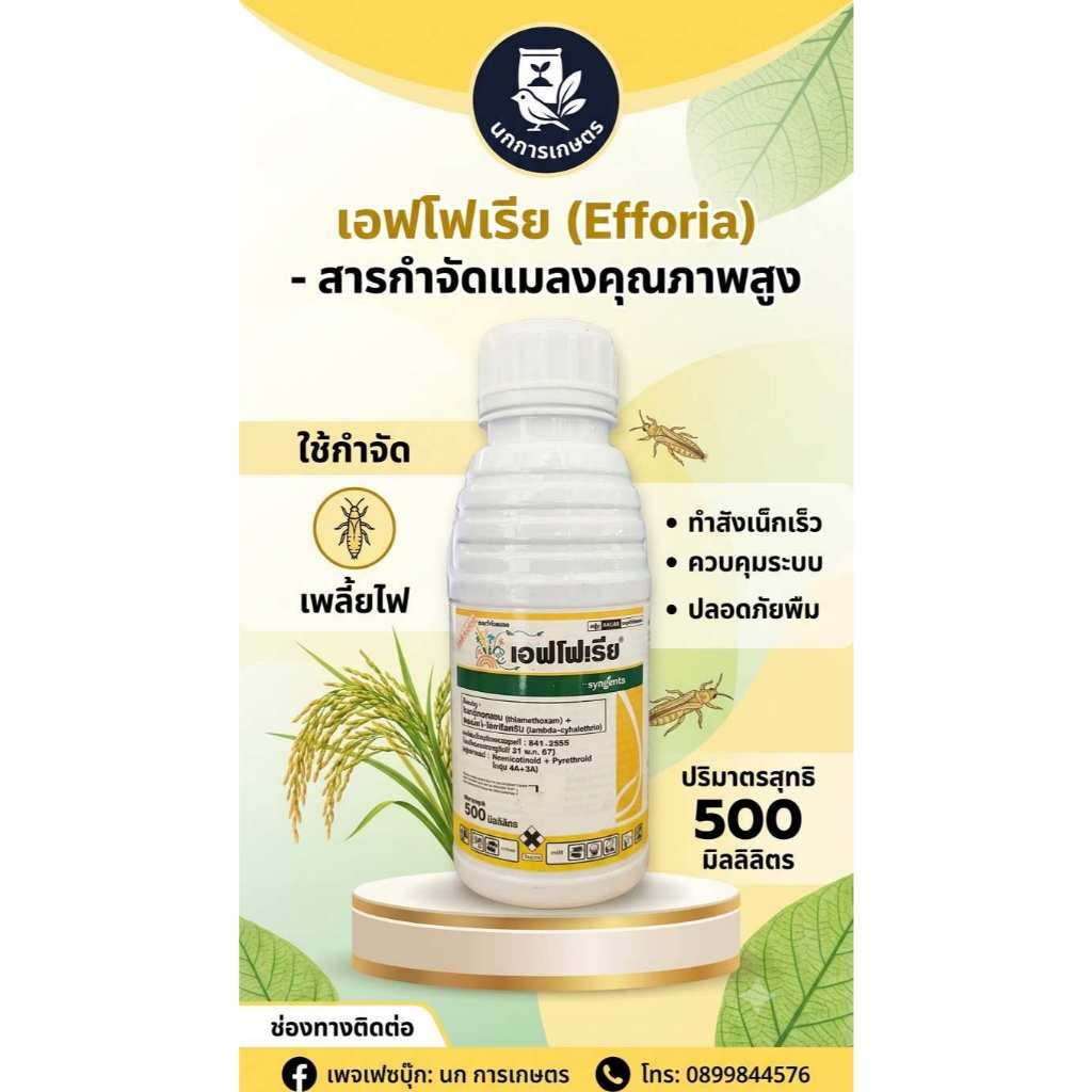 เอฟโฟเรีย สารกำจัดแมลง ปริมาณสุทธิ 500 มิลลิลิตร