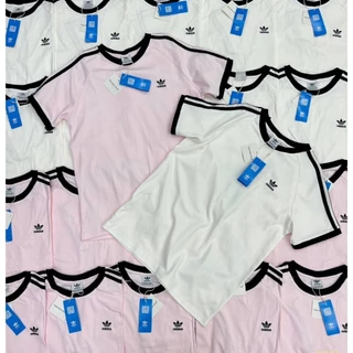 🍊 VL 5353 เสื้อยืดคอกลมแขนสั้น แต่งแถบ ผ้าดีใส่สบาย งานขายดีตลอดกาล