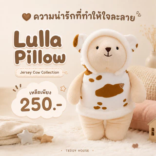 Teddy House : Lulla หมอนกอดตุ๊กตาหมี กอดนุ่ม ของขวัญกอดสบาย ที่เหมาะทั้ง เด็กเล็กและผู้ใหญ่