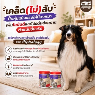 💖 เซ็ต 2 กระปุกคุ้มกว่าแบบเดี่ยวเหมาะสำหรับทานต่อเนื่อง ขนฟู ตัวแน่น น้องแมวชอบค่ะ 🐱✨