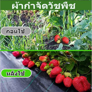 ผ้าคลุมดิน(เกรด AAA) คลุมดิน พลาสติกคลุมวัชพืช ผ้าคลุมหญ้า พราสติกคลุมดิน ผ้าคลุมวัชพืช น้ำซึมผ่านได้ คลุมวัชพืช 50/100m