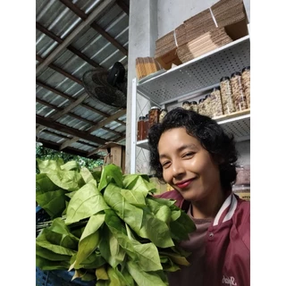 ใบเหลียงสดออแกนิก🌱 ผักปลอดสารพิษ100% 500 กรัม