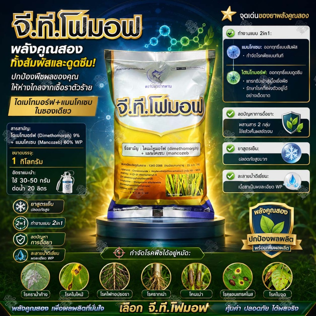 แมนโคเซบ + ไดเมโทมอร์ฟ 1 กิโล จี.ที.โฟมอฟ กำจัดโรคพืช ราน้ำค้าง ใบจุด โรคเน่า (ฟอรัม + ไดเทนเอ็ม) รูปที่ 1