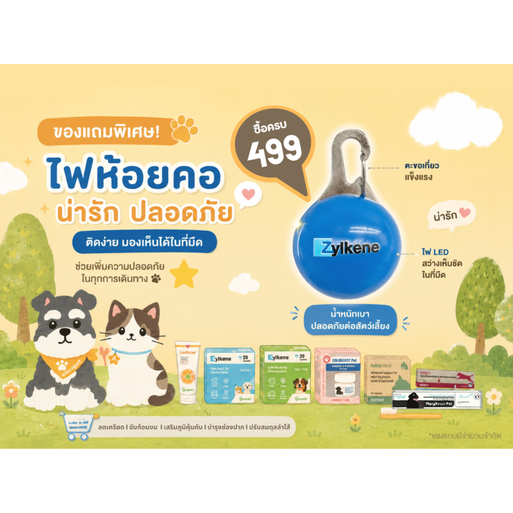 ไฟห้อยคอหมา แมวตอนกลางคืน ตรา zylkene
