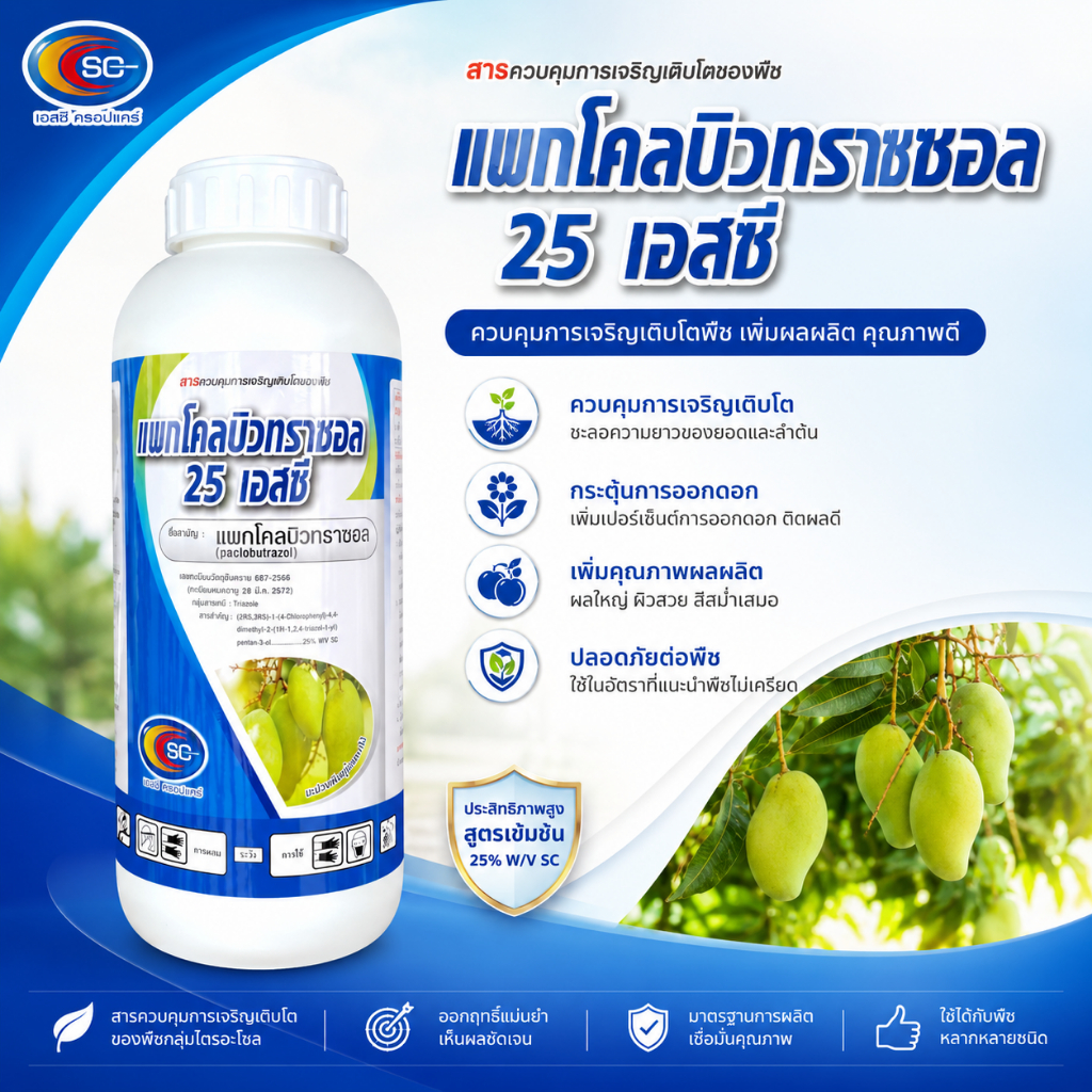 สารแพคโคลบิวทราซอล 25 เอสซี สารทำดอก สารควบคุมการเจริญเติบโตของพืช
