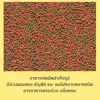 Nutribird B18 อาหารนกสำเร็จรูป ( แบ่งขาย 100/250/500 กรัม )