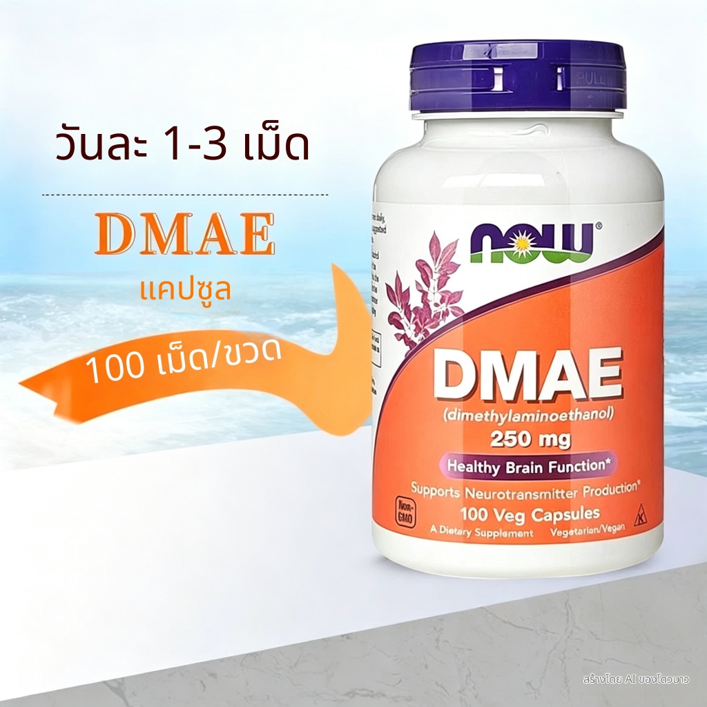 จัดส่งตอนนี้ EXP: 2028 Now Foods Noo DMAE Capsule 250mg 100 แคปซูลนำเข้าจากอเมริกา