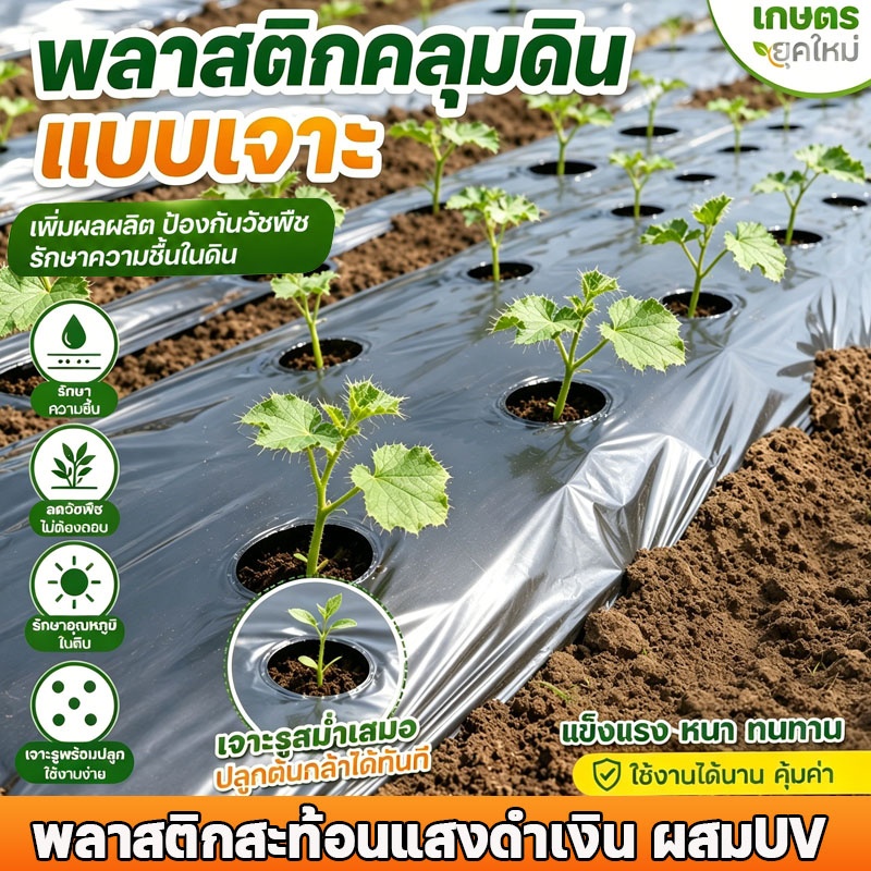 🌱พลาสติกคลุมดิน 1ม.x400หลา(360ม) ผ้ายางคลุมดิน เจาะรูเดี่ยว 1แถว ผ้ายางคลุมแปลงผัก ผ้ายางคลุมวัชพืช