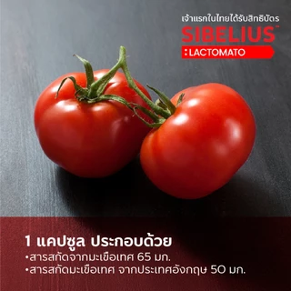 well u M Plus Max เสริมการใส่ใจตัวเอง